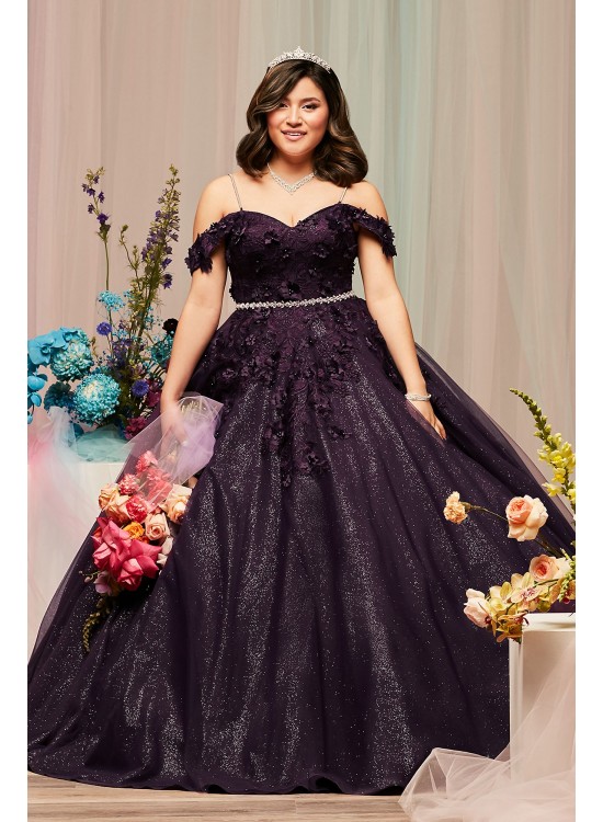 3D Floral Plus Quince Gown with Detachable Sleeves Fifteen Roses 8FR2111