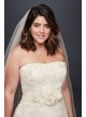 Appliqued Tulle A-Line Plus Size Wedding Dress  Collection 9WG3862