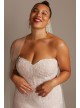 Banded Lace Point DEsprit Plus Size Wedding Dress Melissa Sweet 8MS251204