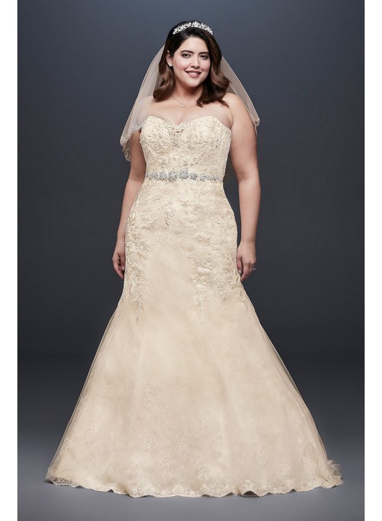 Beaded Lace Plus Size Mermaid Wedding Dress  Collection 9WG3909