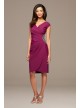 Beaded Waist Knee-Length Sheath Dress Alex Evenings 134175