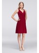 Chiffon V-Neck Dress with Lace Back  F19439