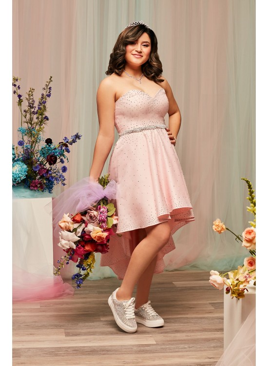 Embellished Plus Quince Gown with Detachable Skirt Fifteen Roses 8FR2110