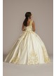 Illusion Cap Sleeve Pleated Quince Ball Gown Fifteen Roses FR2204