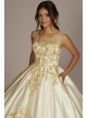 Illusion Cap Sleeve Pleated Quince Ball Gown Fifteen Roses FR2204