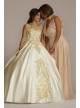 Illusion Cap Sleeve Pleated Quince Ball Gown Fifteen Roses FR2204