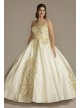 Illusion Cap Sleeve Plus Size Quince Ball Gown Fifteen Roses 8FR2204