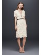 Illusion Lace Shift Dress with Contrast Ribbon DB Studio DS870029