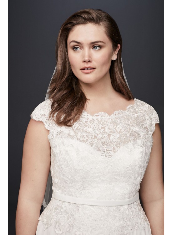 Illusion Lace and Chiffon Plus Size Wedding Dress  Collection 9WG3851