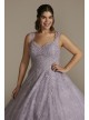 Lace Applique Semi-Cap Sleeve Plus Quince Gown Fifteen Roses 8FR2203