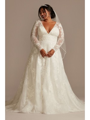 Lace Long Sleeve Open Back Plus Size Wedding Dress  8CWG893