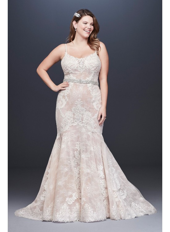 Lace Plus Size Wedding Dress with Moonstone Detail  4XL9SWG824