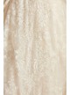 Lace Plus Size Wedding Dress with Pleated Skirt  8CWG780