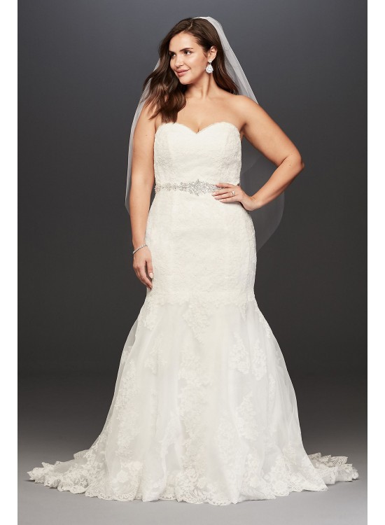 Lace Plus Size Wedding Dress with Scalloped Hem  Collection 9V3680