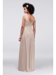 Long Mesh Dress with Illusion Sweetheart Neckline  F15927