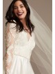 Long Sleeve Tall Wedding Dress with Appliques  4XLCWG908