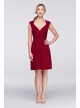 Mesh Dress with Lace Sleeves and Keyhole Back  F19442