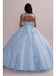 Metallic Floral Glitter Tulle Quince Ball Gown Fifteen Roses FR2114