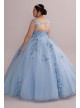 Metallic Floral Plus Size Tulle Quince Ball Gown Fifteen Roses 8FR2114