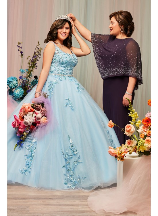 Metallic Floral Plus Size Tulle Quince Ball Gown Fifteen Roses 8FR2114