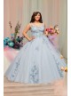 Metallic Floral Plus Size Tulle Quince Ball Gown Fifteen Roses 8FR2114