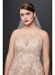 Metallic Lace Plus Size A-Line Wedding Dress  8CWG767