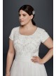 Modest Short Sleeve Plus Size A-Line Wedding Dress  Collection 9SLWG3811