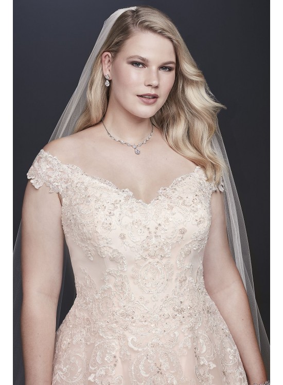 Off-the-Shoulder Applique Plus Size Wedding Dress  Collection 9WG3940