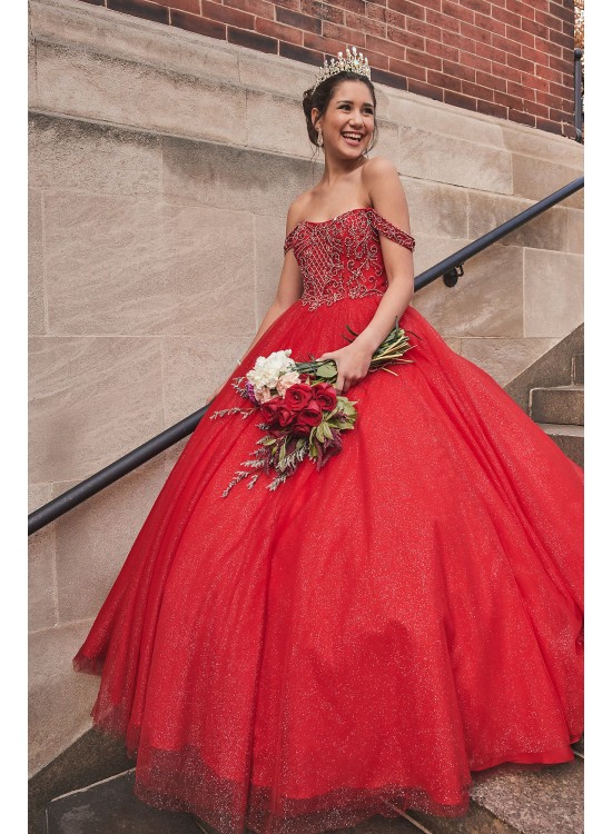 Off-the-Shoulder Beaded Plus Size Quince Ball Gown Fifteen Roses 8FR2201