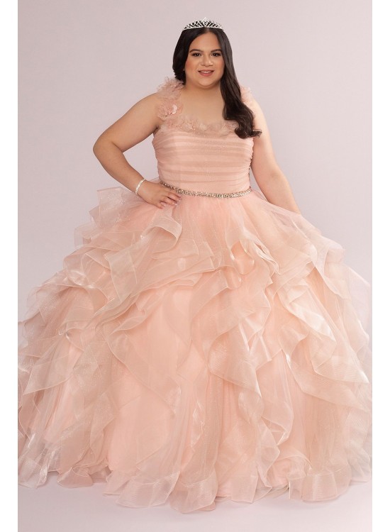 Plus Convertible Ruffle Tulle Quince Dress Fifteen Roses 8FR2101