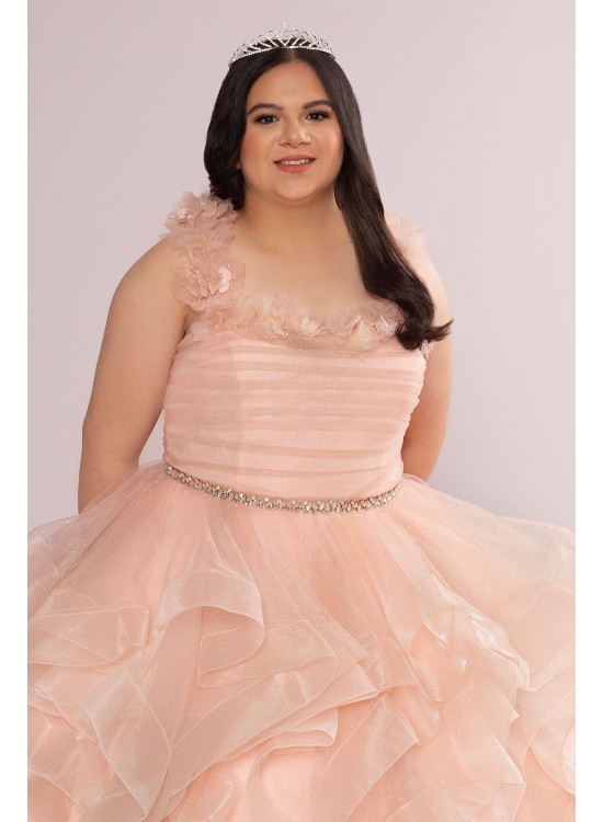 Plus Convertible Ruffle Tulle Quince Dress Fifteen Roses 8FR2101