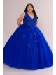 Plus Fairytale Ball Gown with Lace Applique Fifteen Roses 8FR2103