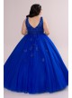 Plus Fairytale Ball Gown with Lace Applique Fifteen Roses 8FR2103