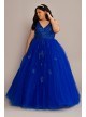 Plus Fairytale Ball Gown with Lace Applique Fifteen Roses 8FR2103