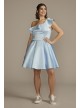 Plus Size One Shoulder Ruffled Party Dress Fifteen Roses WBM3057W