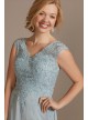 Scalloped Lace V-Neck Chiffon Dress  WBM2403V1