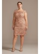 Sequin Lace Plus Size Sheath with Cap Sleeves Alex Evenings 417654