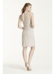 Short High Neck Mesh Dress with Side Cascade  F15612