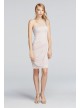 Short Illusion One Shoulder Dress  F19038