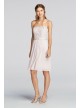 Short Scalloped Strapless Lace Mesh Dress  F18094