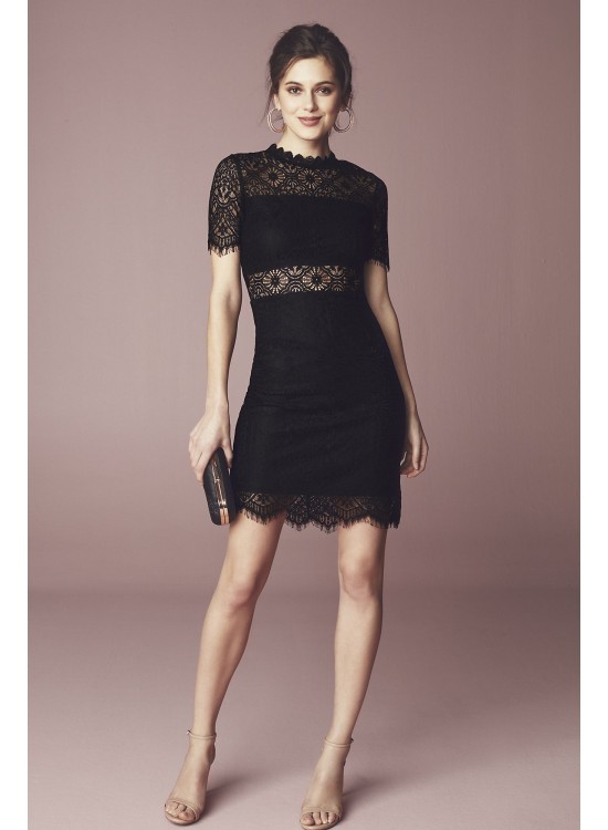 Short Sheath Illusion Lace High-Neck Dress  WBM1701