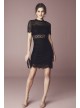 Short Sheath Illusion Lace High-Neck Dress  WBM1701