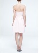 Short Strapless Faille Dress with Full Skirt  F15810