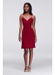 Skinny Strap Chiffon Dress with Lace Back  F19440