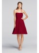 Strapless Pleated Bodice Dress  F18028