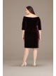 Surplice Stretch Velvet Plus Size Sheath Dress Alex Evenings 8491841