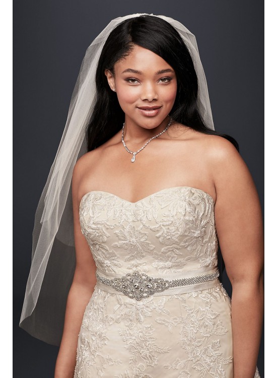 Tulle A-Line Plus Size Wedding Dress with Lace  Collection 9V3587