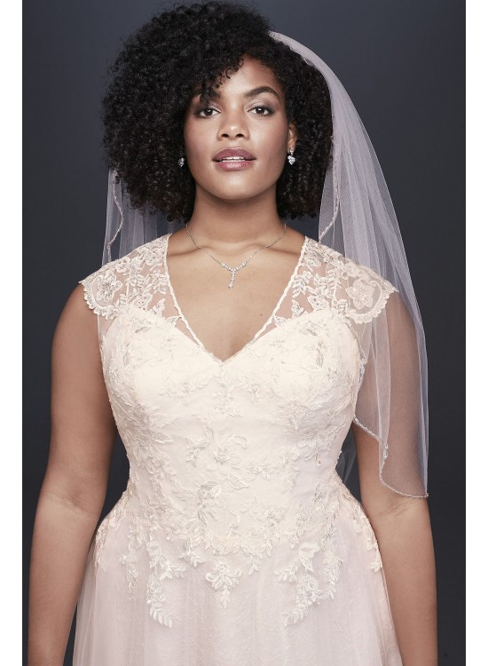 Tulle-Over-Lace Plus Size A-Line Wedding Dress  Collection 9WG3859