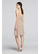 Y-Neck Ruched Bodice Crinkle Chiffon Short Dress  W10943